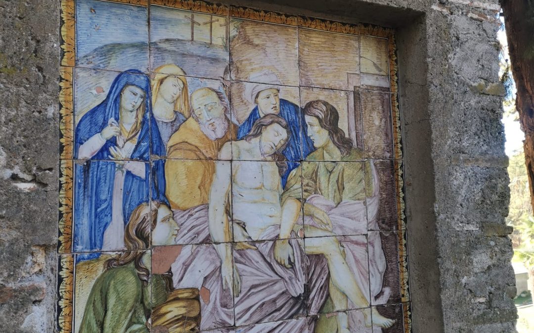 Nella “foresta” di San Francesco