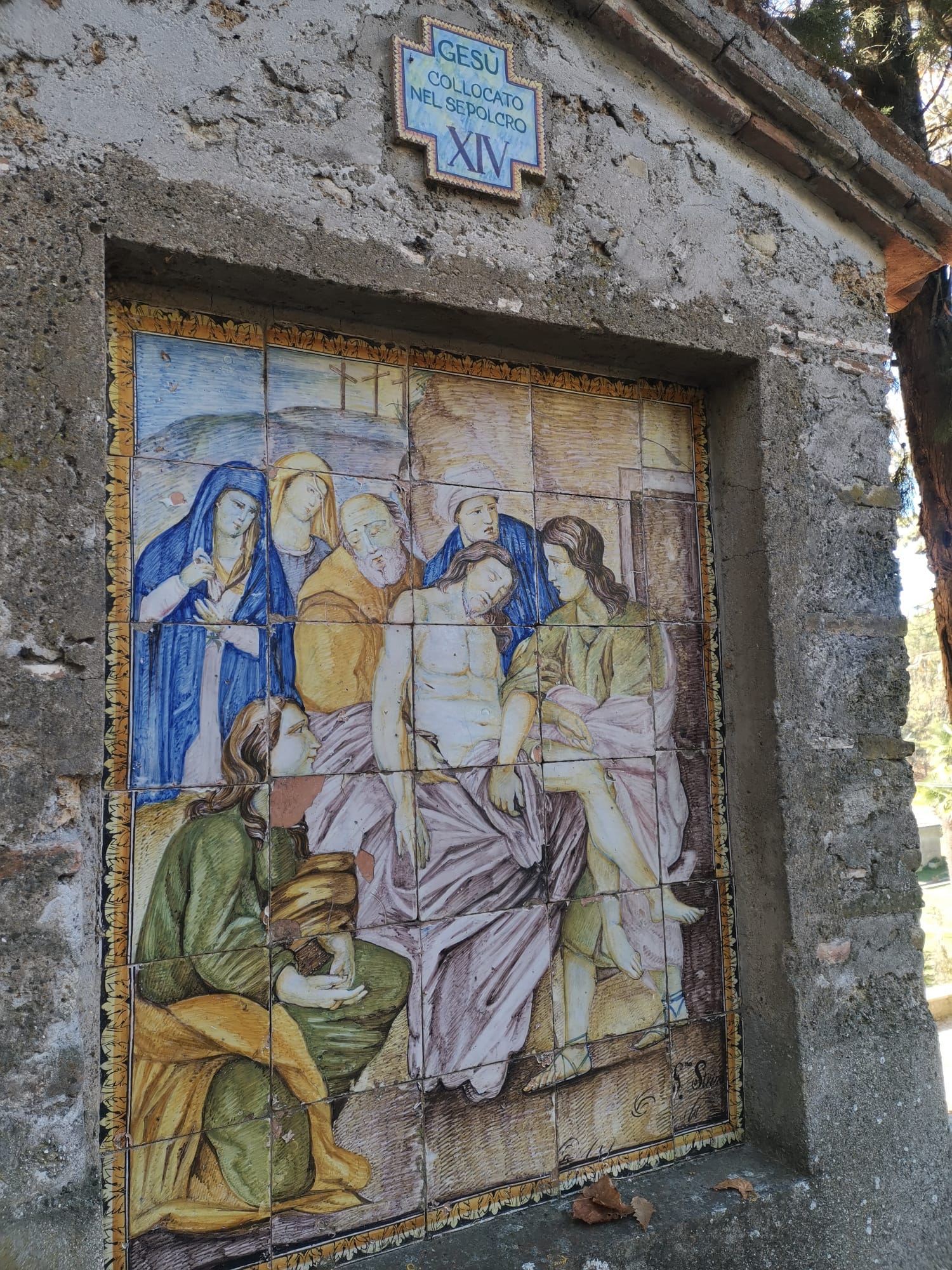 Nella “foresta” di San Francesco